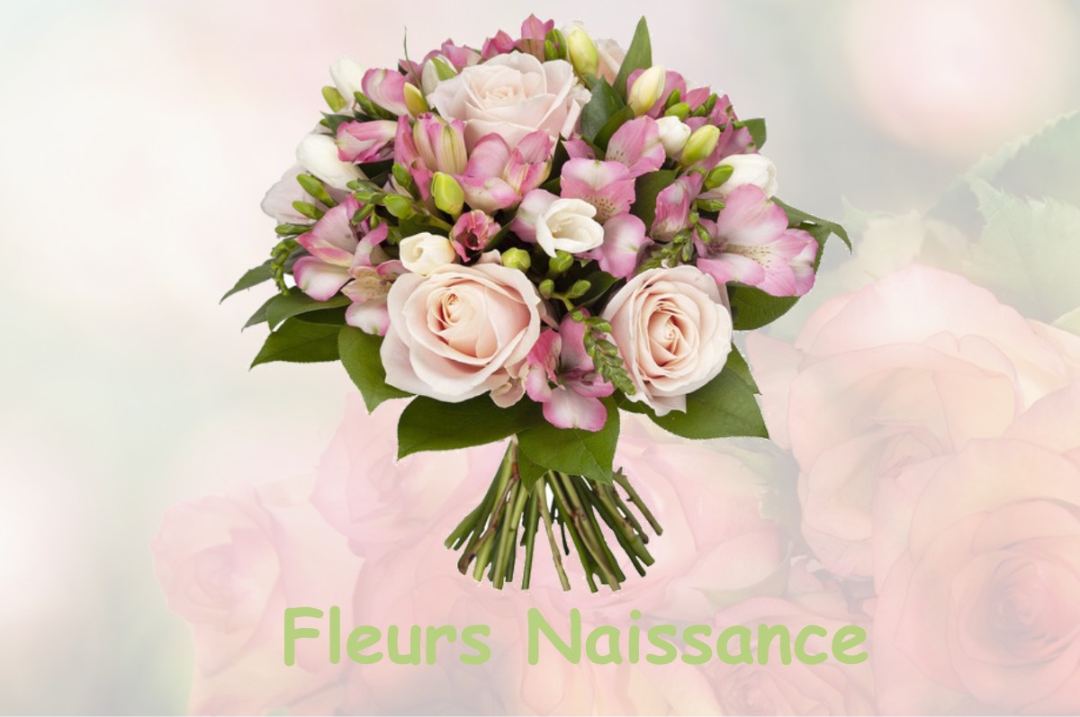 fleurs naissance LABATUT-RIVIERE